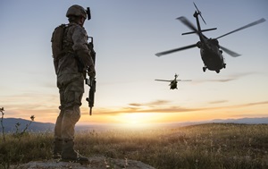 image-article
